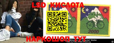 прущие грибы Аргун