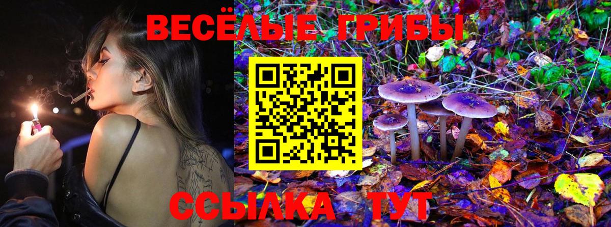 Псилоцибиновые грибы Magic Shrooms  Вход с VPN  Берёзовский  где продают   Псилоцибиновые грибы Cubensis 