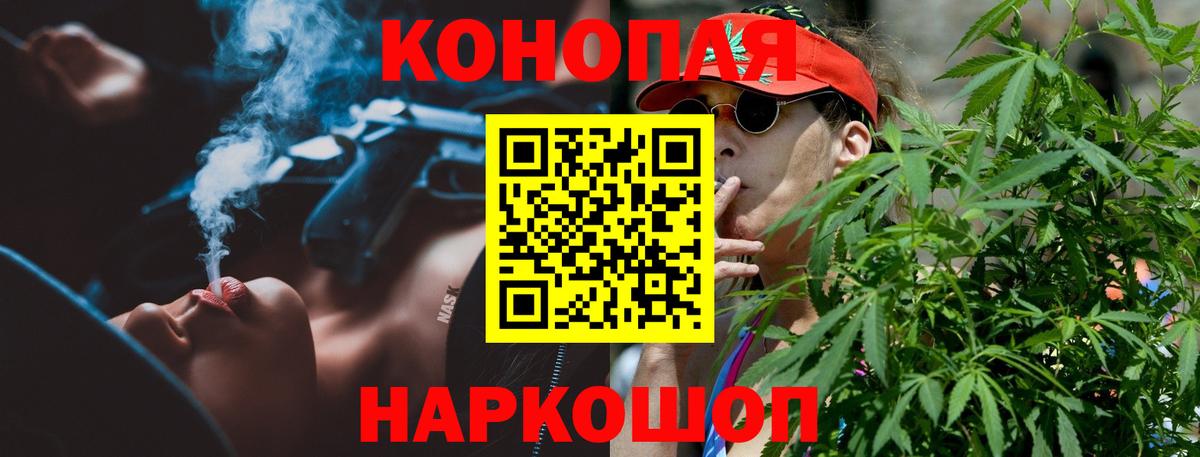 Бошки Шишки сатива Берёзовский